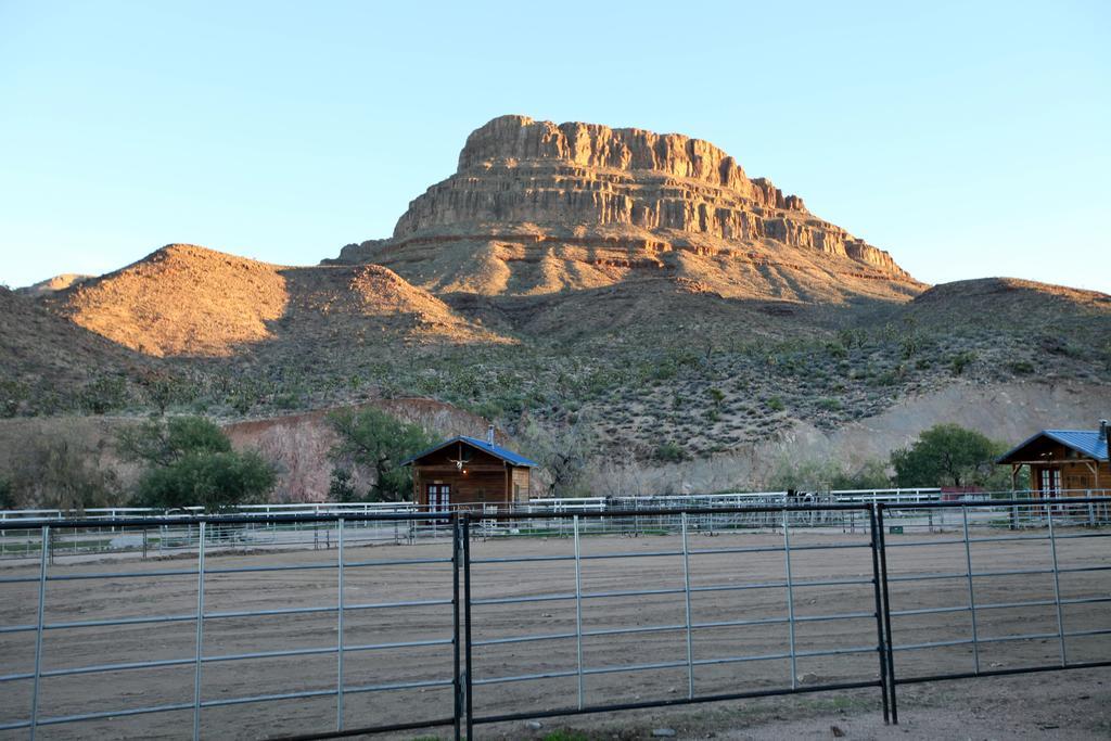 Grand Canyon Western Ranch Meadview Eksteriør bilde